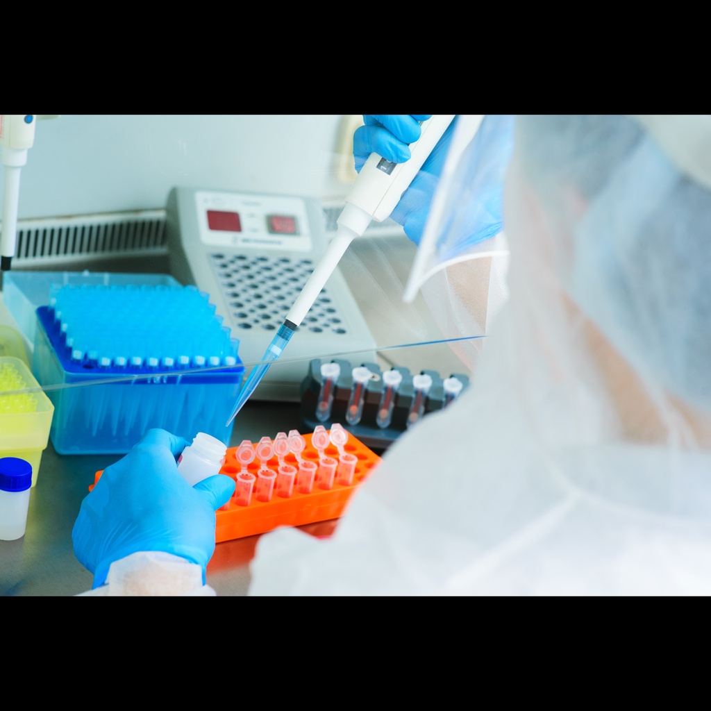 2× Hieff Canace™ AdvanceFast High-Fidelity PCR Master Mix (With Dye)-5×1mL