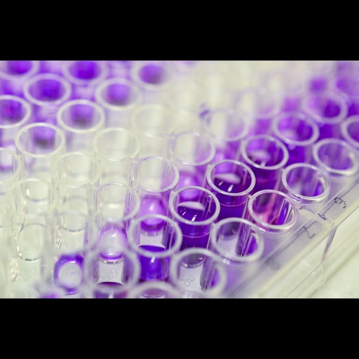 [0855-ELK4983-96T] Human LELP1 Late Cornified Envelope Like Proline Rich Protein 1  ELISA Kit size: 96 Tests